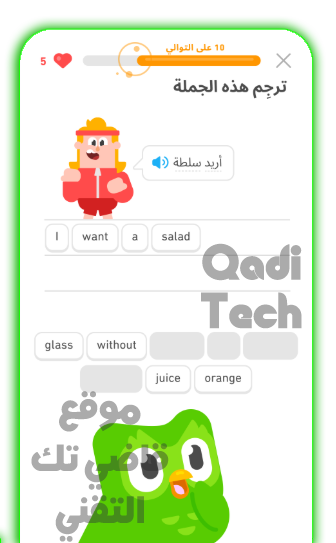 تطبيق دوولينجو لتعلم اللغات